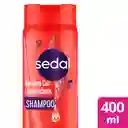 Sedal Shampoo Keratina Con Antioxidante