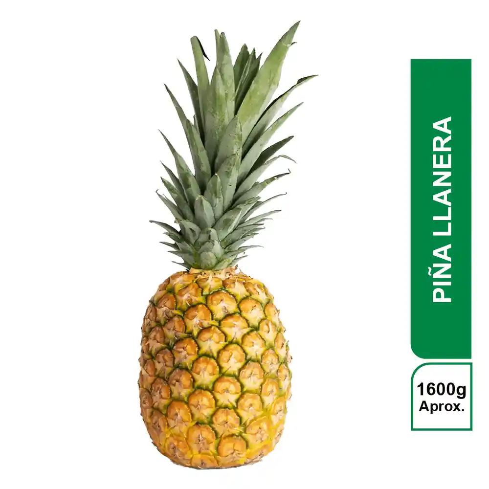 Kampos Piña Llanera Turbo 1600 g