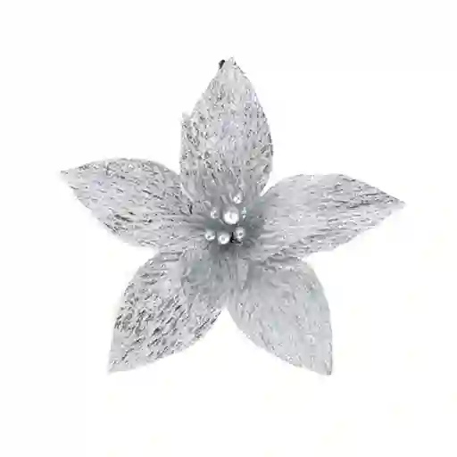 Flor Plata Garden Krea
