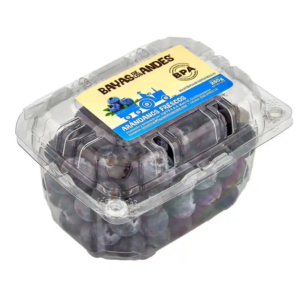 Arándano Fresco Bayas de Los Andes