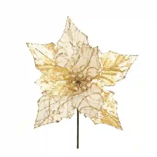 Flor Con Blanco Despertar Krea