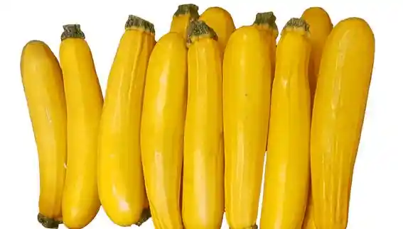 Zuqini Amarillo