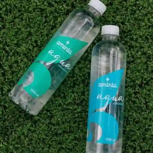Agua Aminta con Gas 500 ml