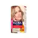 Igora Tinte Vital Rubio Claro Cenizo 8-1 100 mL