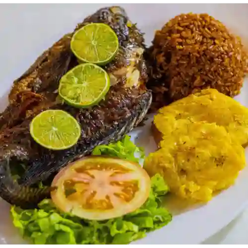 Mojarra Negra
