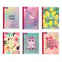 Cuaderno Norma 50 Hojas Linea Corr Fem Surtido