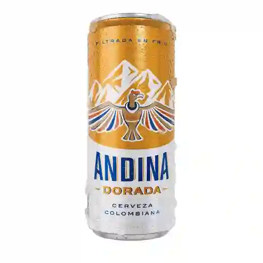 Cerveza Andina (310 Ml)