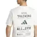 Adidas Camiseta Tr Cat G T Para Hombre Blanco Talla XL