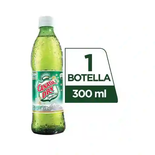 Ginger Canada Dry 300 ml