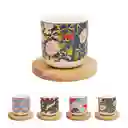 Taza de Cerámica Con Posavasos de Bambú Serie de Flores Miniso