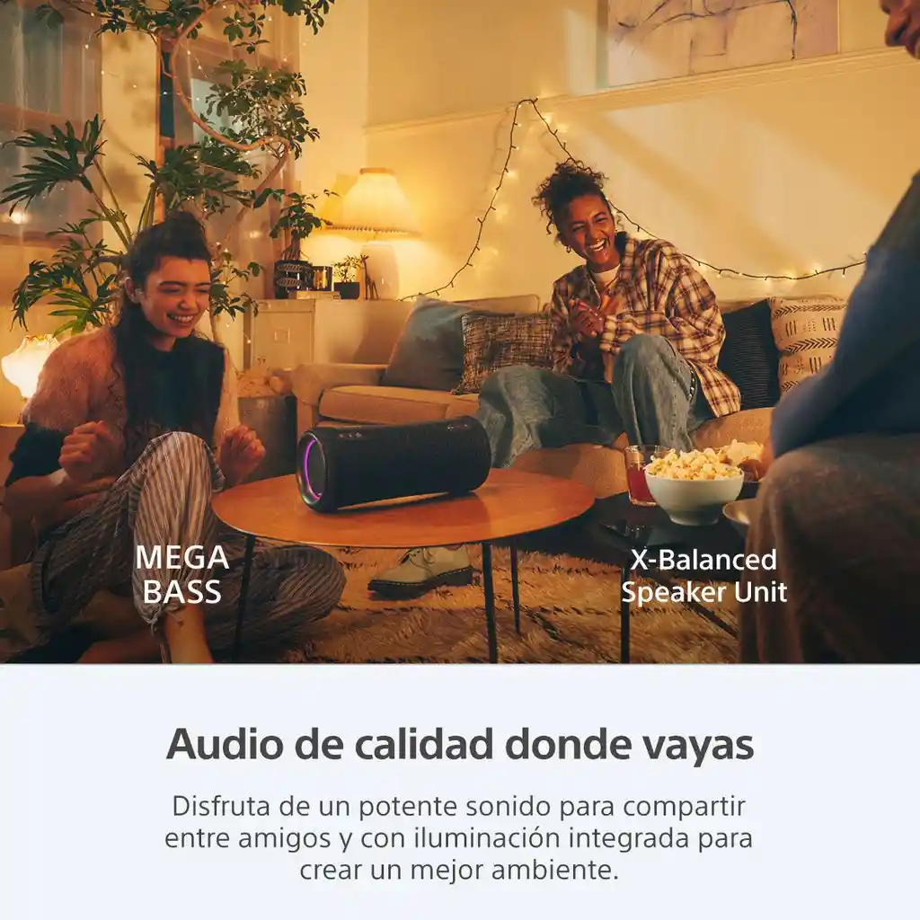 Sony Parlante Bluetooth Portátil Negro SRS-XG300/B