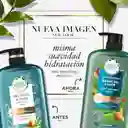 Herbal Essences Shampoo Reparador Con Aceite de Argán
