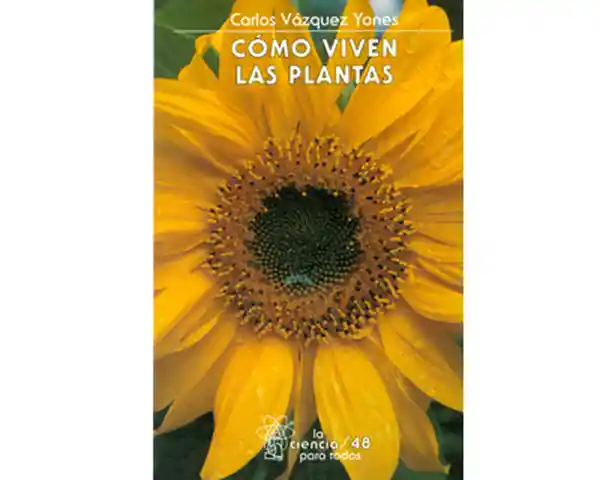 Cómo viven las plantas