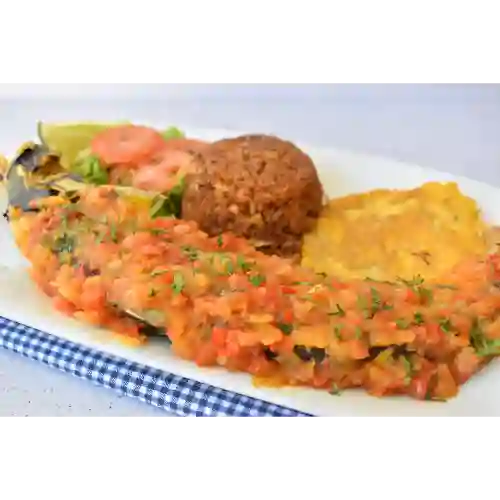 Azulejo en Salsa
