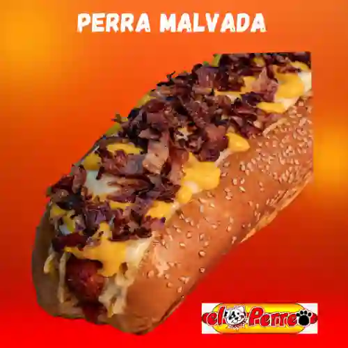 Perra Malvada