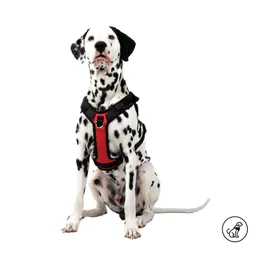 Arnés Pechera Para Perro Rex L Rojo