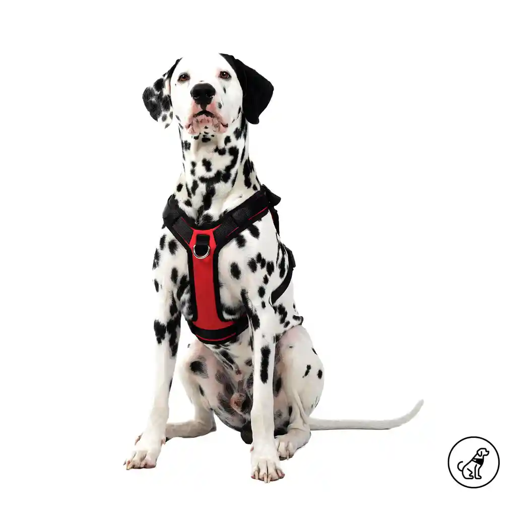 Arnés Pechera Para Perro Rex L Rojo