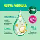 Sedal Crema para Peinar Rizos Definidos