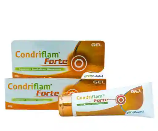 Condriflam Forte Gel Tópico