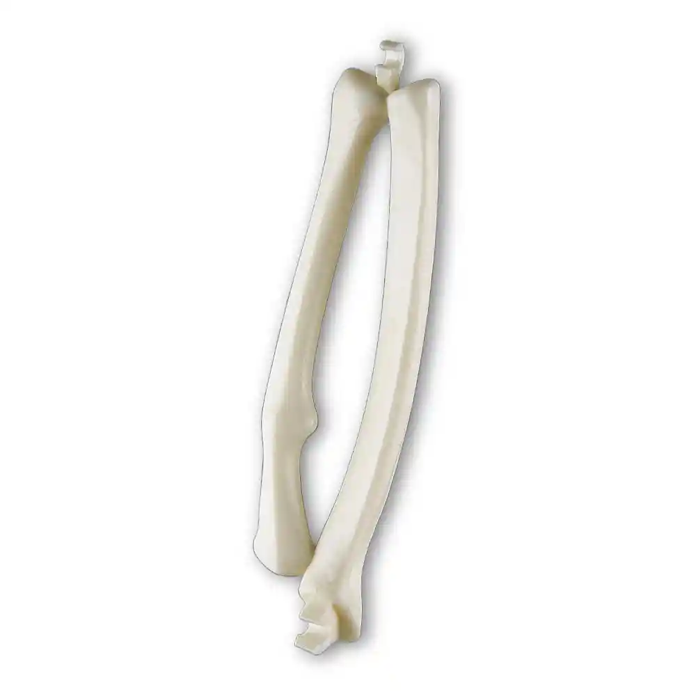 Cúbitoradio Izquierdo Rba