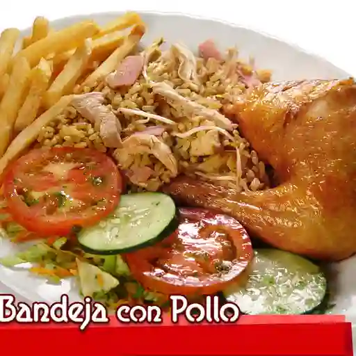 Bandeja con Pollo