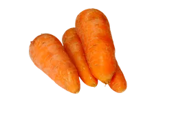 Zanahoria Corriente