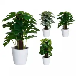 Expressions Planta Artificial en Matera 25 cm 318001040