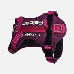Arnés Para Perro Mountain Morado Felcan