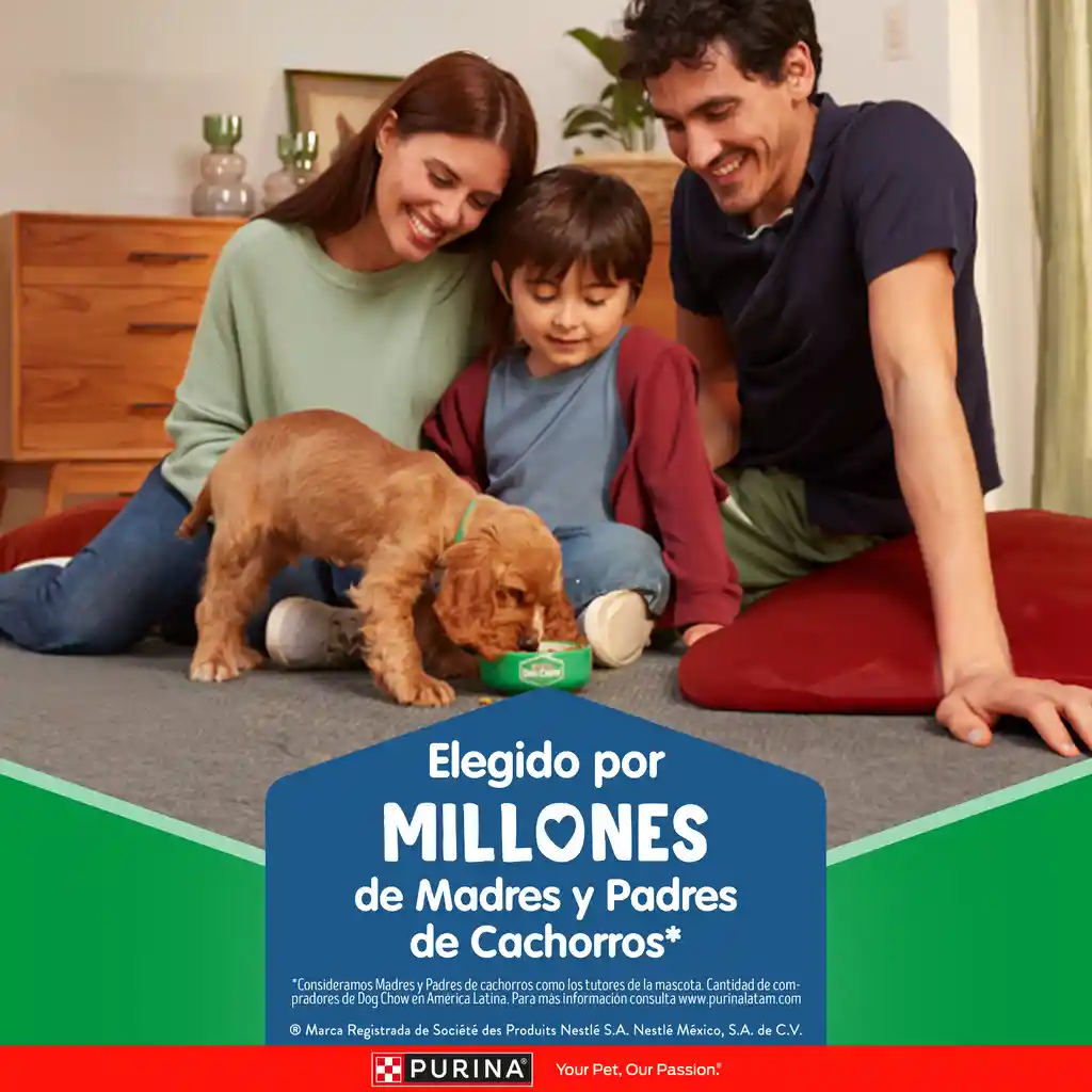 Comida para perro Dog Chow Cachorro medianos y grandes x 8 kg