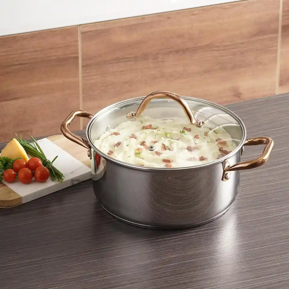 Olla en Acero Universal Acero Inoxidable Zafiro 1 Pieza Plateado