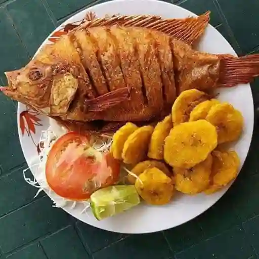 Mojarra