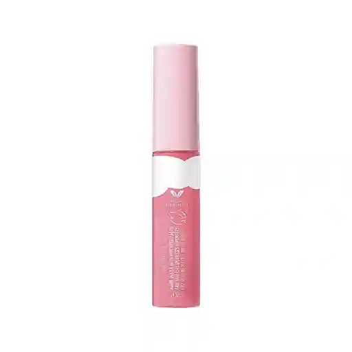 Labial Clean Fresh Gloss Havana Covergirl