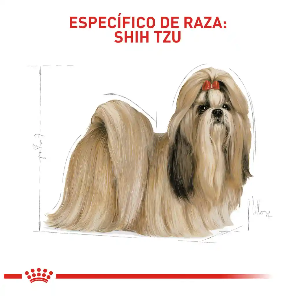 Royal Canin Alimento para Perro Shih-Tzu Adulto 