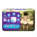 Pequeñín Pañal Baby Pants Etapa 4 XG