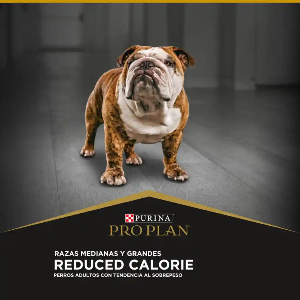 Comida para perros adultos calorias reducidas razas medianas y grandes Purina Pro Plan x 13 kg