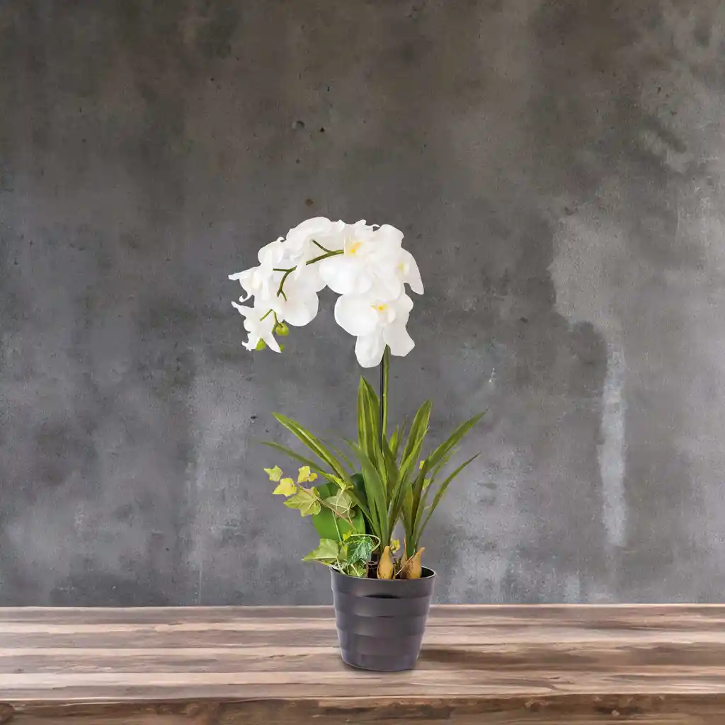 Ambiente Gourmet Flor Orquidea en Maceta 80 cm