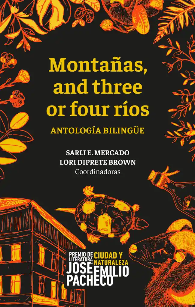 Montañas And Three Or Four Ríos