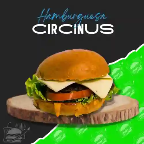 Hamburguesa Circinus