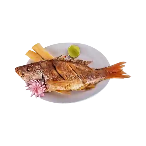 Pargo Rojo Ribereño