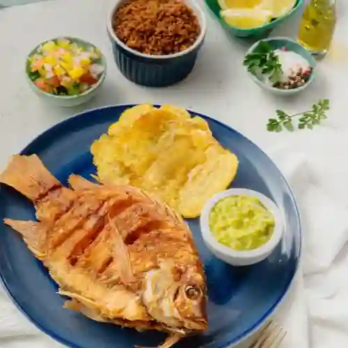 Mojarra Frita