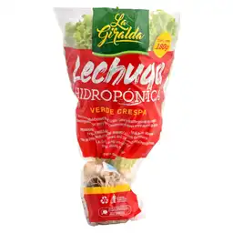 Lechuga Hidrop Vde Cresp La Giralda