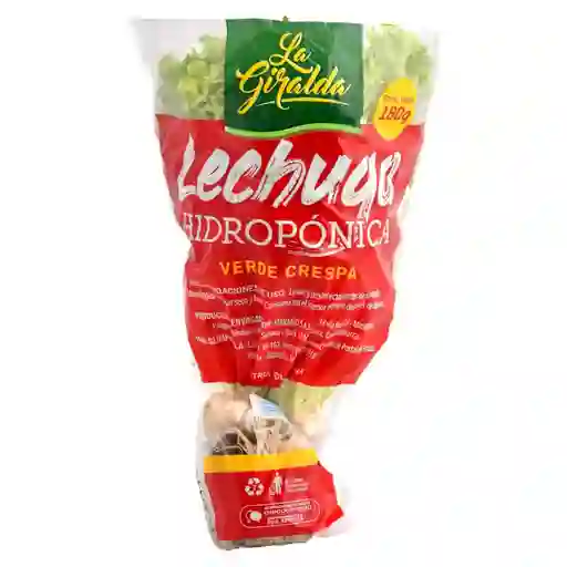 Lechuga Hidrop Vde Cresp La Giralda