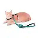 Correa Para Perro Totto Manija Sencilla Odye Rosa Arcoiris