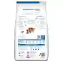 Hills Alimento para Perro Adulto Derm Complete
