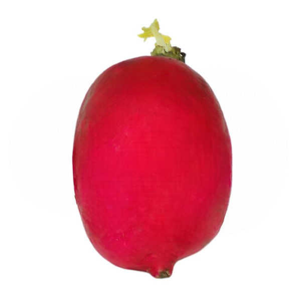 Rábano Rojo x kg