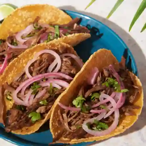 Tacos Barbacoa