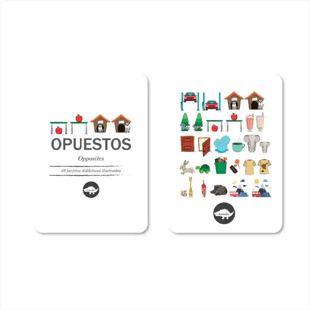 Flash Cards Opuestos