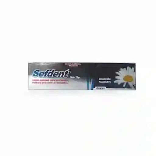 Sefdent Crema Adhesiva Clean Max
