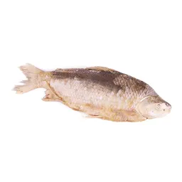 Bocachico