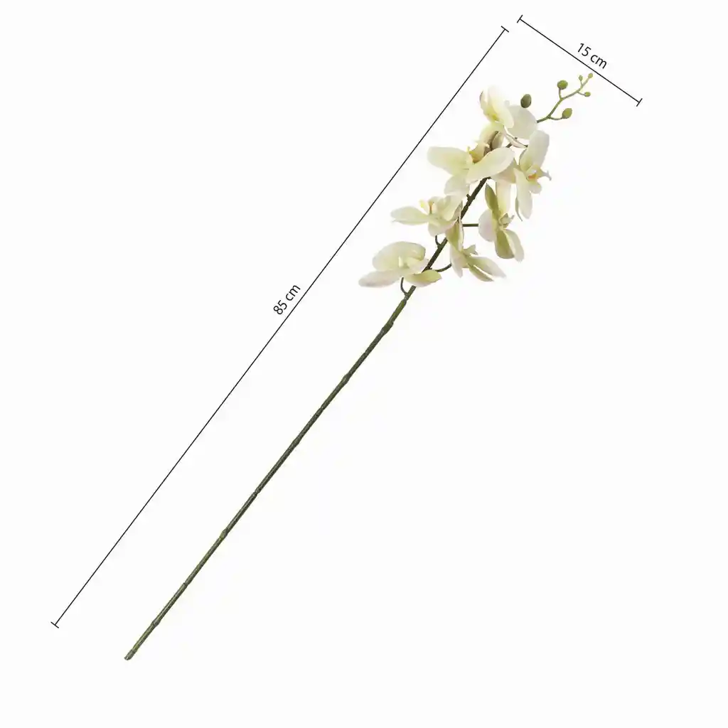 Ambiente Gourmet Flor Orquídea Verde